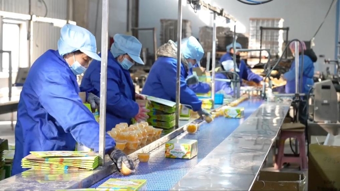 2025021742f4dbd75a024d5a93d6a10aef731509_31682567e48447d8acf71870a32e8751111111