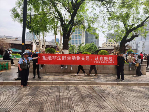 图片2