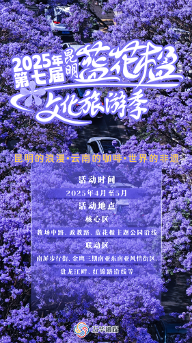 蓝花楹