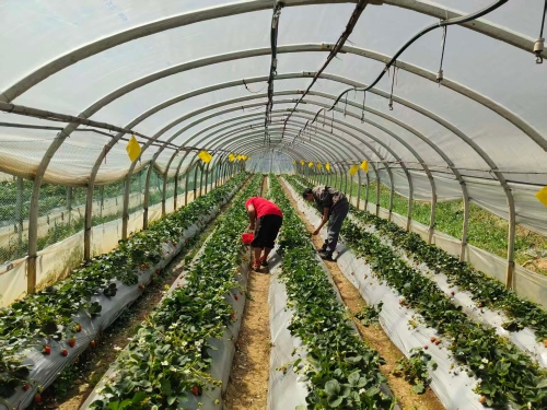 b5d2ba088593bec5e525fe596f34af8b