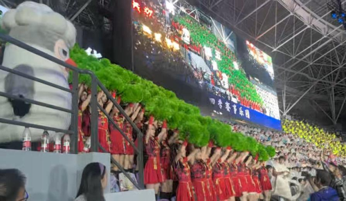 图片24 图片24