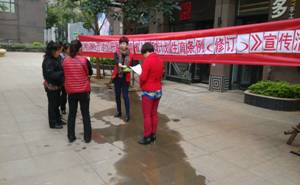 云南省《人口计划生育条例》_云南省人口分布图